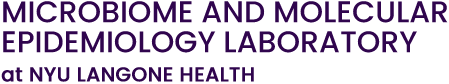 The Microbiome and Molecular Epidemiology Laboratory Logo